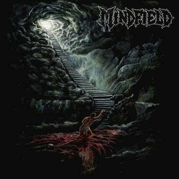 Mindfield (USA) : Mindfield